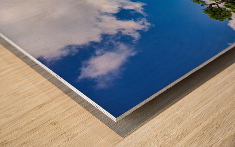 Apulia Puglia Italy. Castel del Monte Wood print