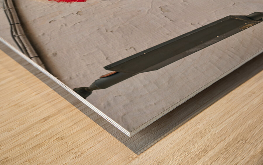 Apulia Puglia Italy. Ostuni. Festival of Saint Orontius. The cavalcata a procession of horses in the streets of the town Wood print