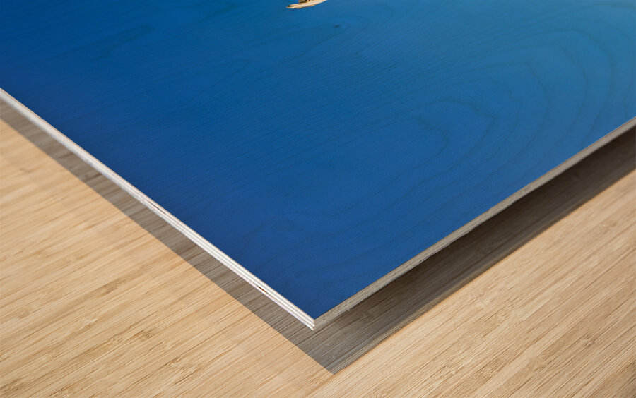 Salento. Apulia Puglia Italy. Nardò. Salandra square. 18th century column Wood print