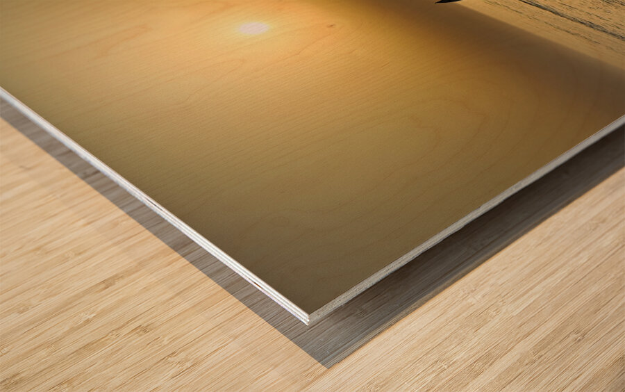 Gallipoli Puglia Salento Italy. Sailing boat at sunset Wood print