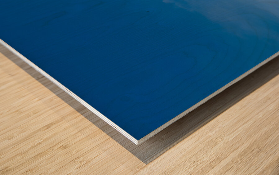 Bologna Italy. Rocchetta Mattei is a fortress located in the northern Apennines Wood print