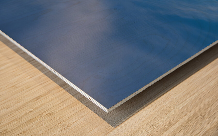 Bologna Italy. Rocchetta Mattei is a fortress located in the northern Apennines Wood print