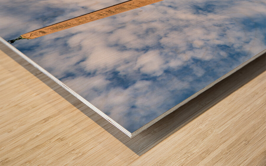 Rome Lazio Italy. Fontana dei Quattro Fiumi Fountain of the Four Rivers is a fountain in the Piazza Navona. It was designed in 1651 by Gian Lorenzo Bernini for Pope Innocent X Wood print