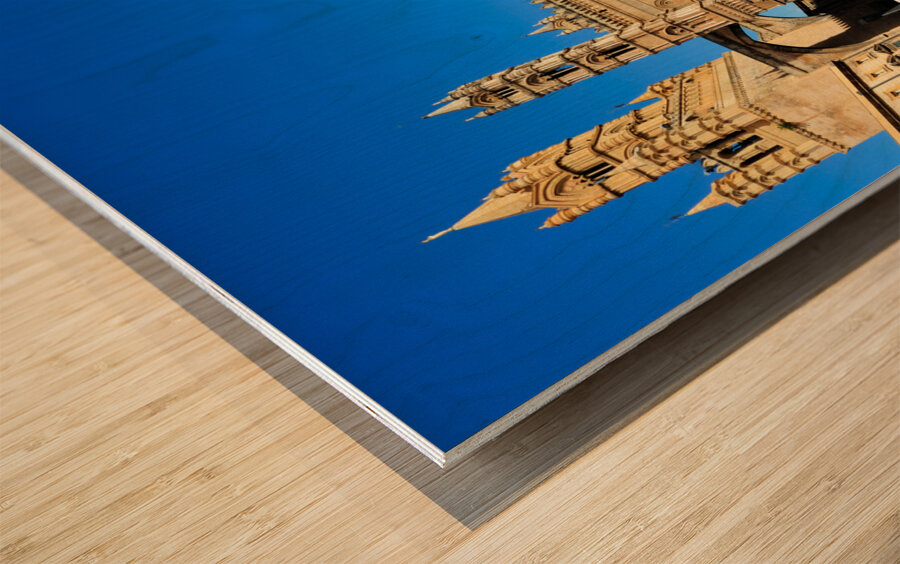 Palermo Sicily Italy. Cathedral of Santa Maria Assunta Wood print