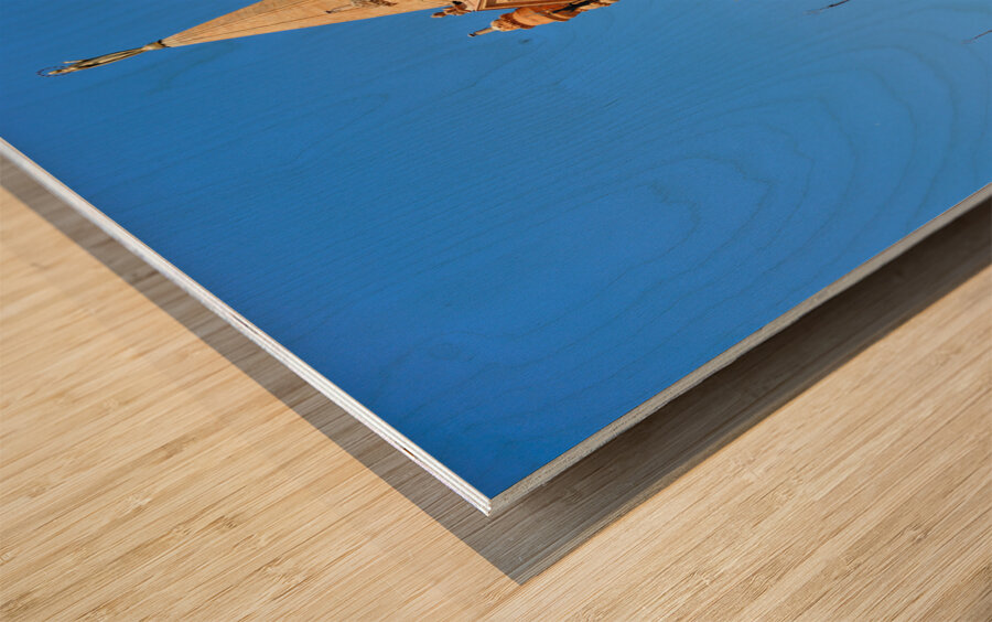 Palermo Sicily Italy. Cathedral of Santa Maria Assunta Wood print