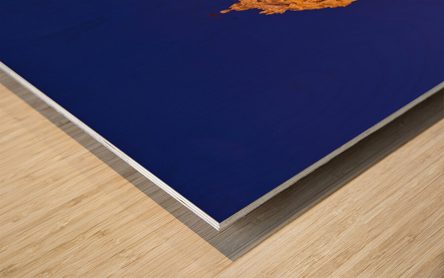 Duomo of San Giorgio Cathedral in Modica Sicily Italy Wood print