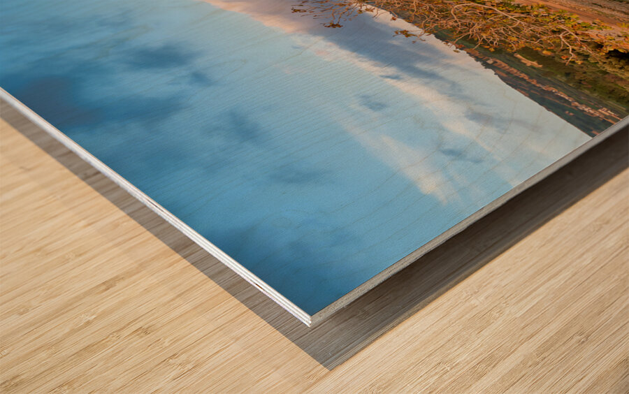 Temple of Concordia Tempio della Concordia. Valle dei Templi Valley of the Temples. Agrigento Sicily Italy Wood print