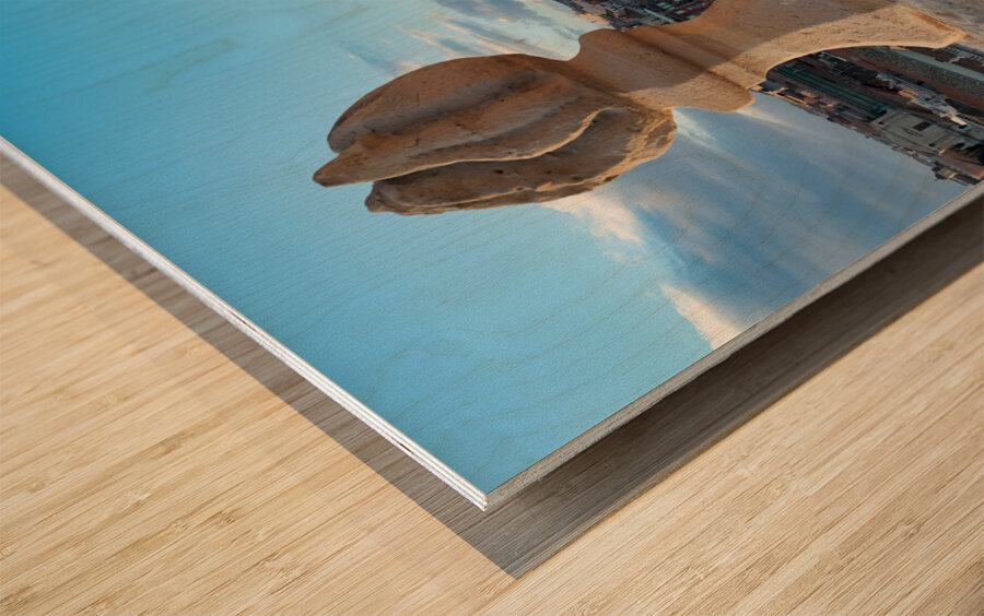 Panorama elevated view of Catania Sicily Italy Wood print