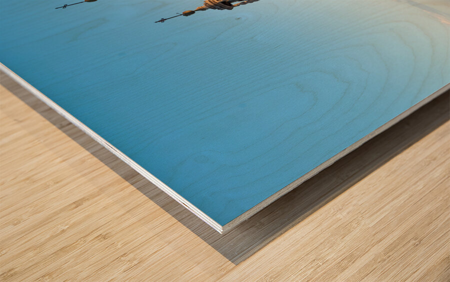 Metropolitan Cathedral of Saint Agatha Duomo Catania Sicily Italy Wood print