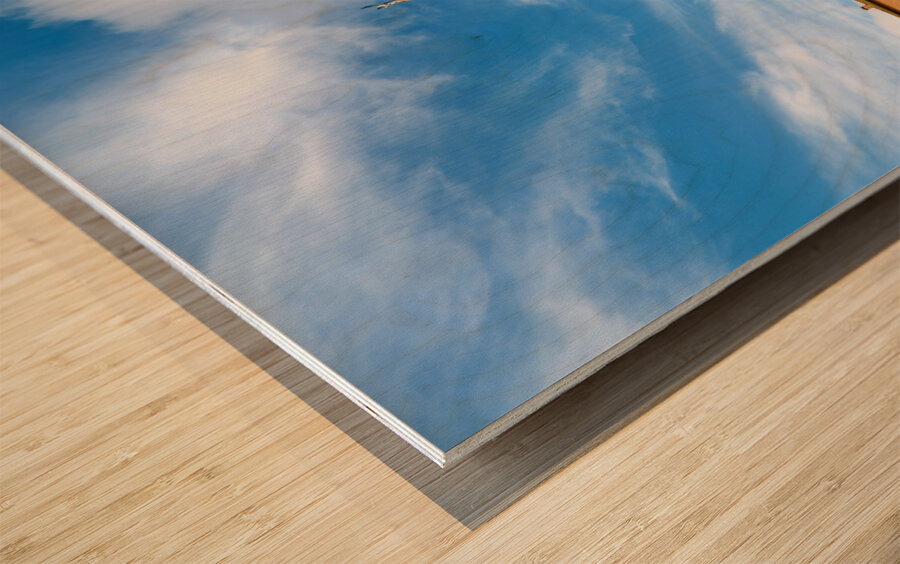 Siena Tuscany Italy. The Cathedral Wood print