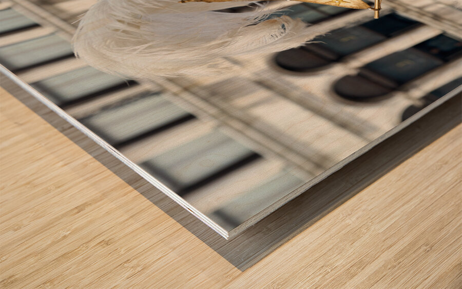 Venice Italy. The Carnival Wood print