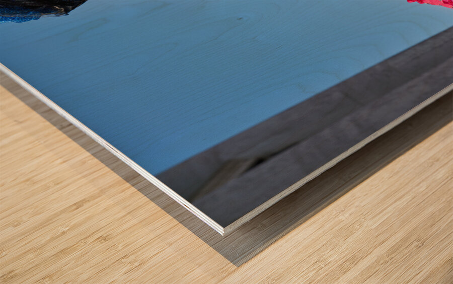 Venice Italy. The Carnival Wood print