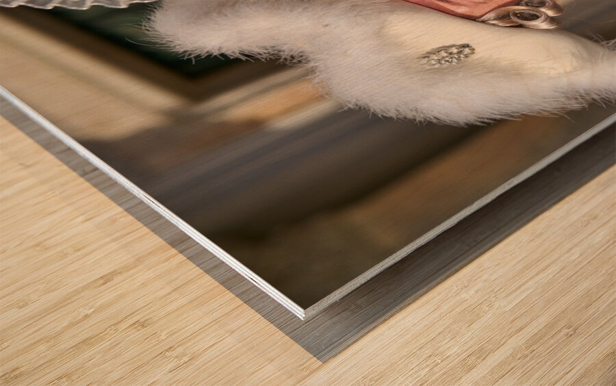 Venice Italy. The Carnival Wood print