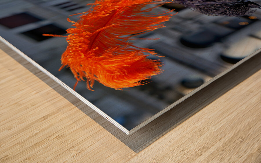 Venice Italy. The Carnival Wood print