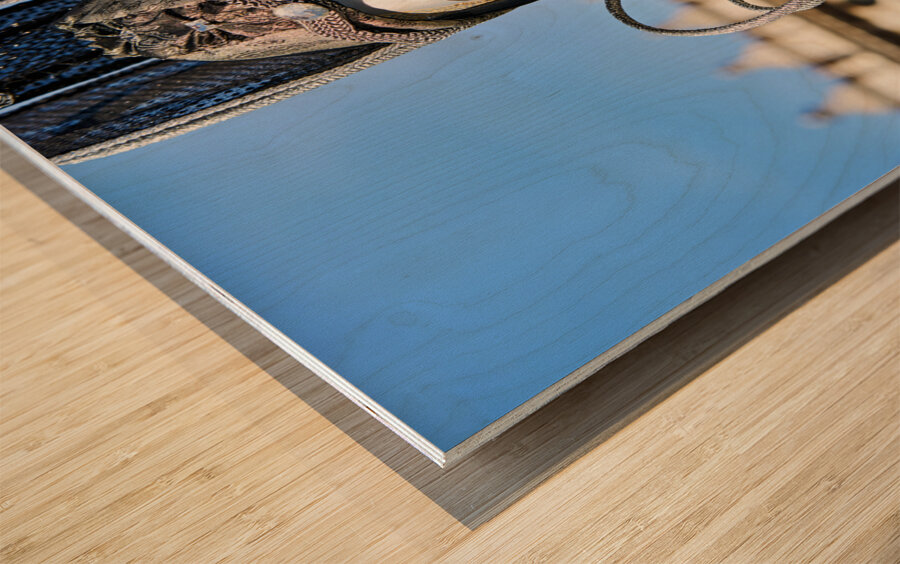 Venice Italy. The Carnival Wood print