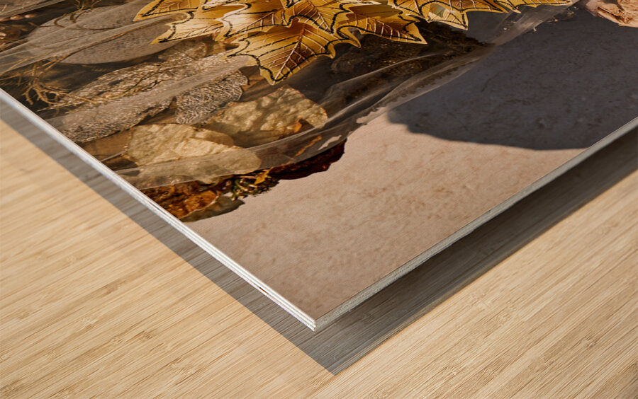 Venice Italy. The Carnival Wood print