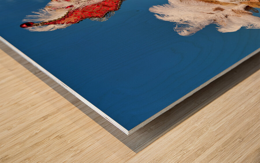 Venice Italy. The Carnival Wood print