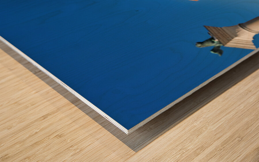 Venice Italy. The Carnival Wood print