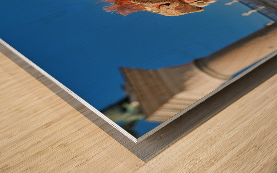 Venice Italy. The Carnival Wood print