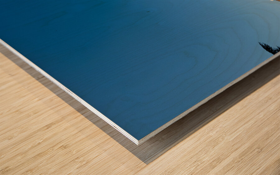 Verona Veneto Italy. The Verona Arena - Roman Amphitheatre and the Town Hall Wood print