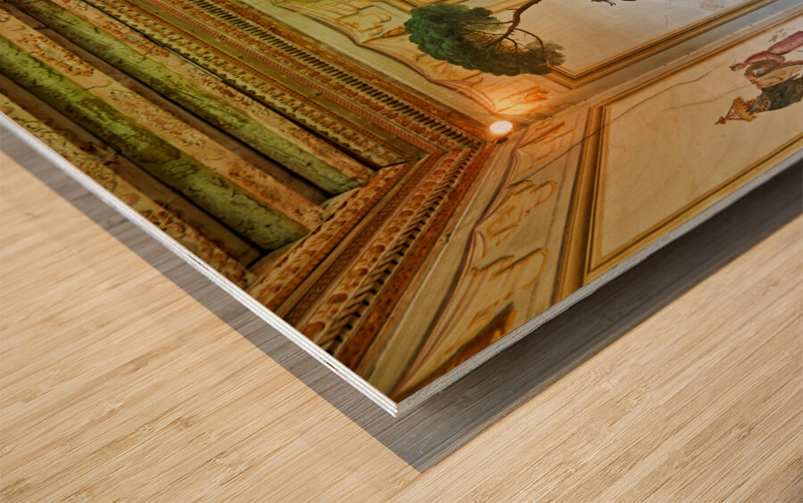 Vicenza Veneto Italy. The interiors of the Villa Valmarana ai Nani frescoed  by Giambattista and Giandomenico Tiepolo Wood print