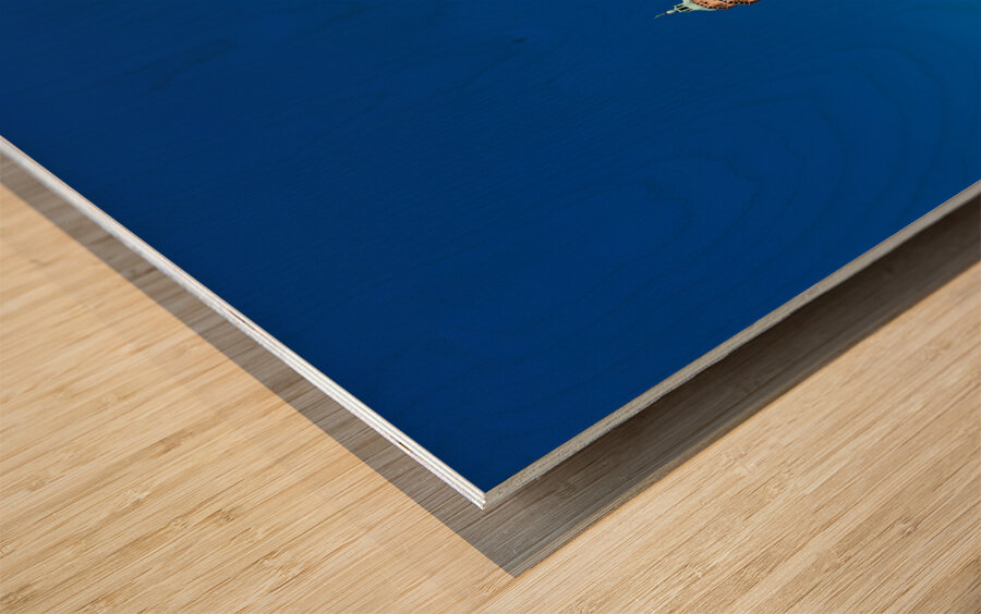 Vicenza Veneto Italy. The Basilica Palladiana is a Renaissance building in the central Piazza dei Signori in Vicenza Wood print