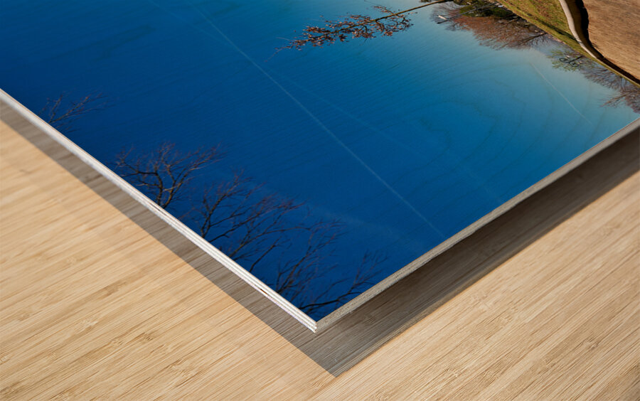 Vicenza Veneto Italy. The Church of St. Mary of Mount Berico Wood print