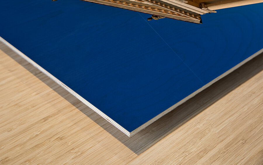 Vicenza Veneto Italy. Villa La Rotonda designed by Andrea Palladio. Wood print