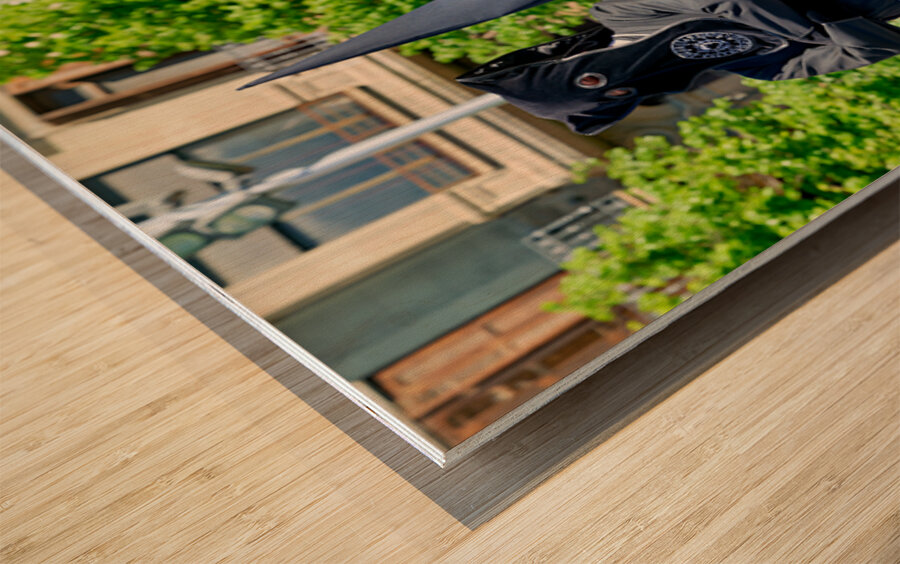 Zaragoza. Saragossa. Aragon. Spain.  Processions of the Easter Holy Week Wood print