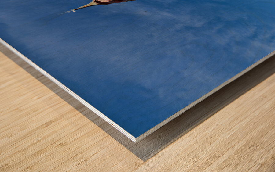 Zaragoza Spain. Cathedral of the Savior of Zaragoza. Catedral del Salvador   La Seo. Museo del Foro de Caesaraugusta Wood print