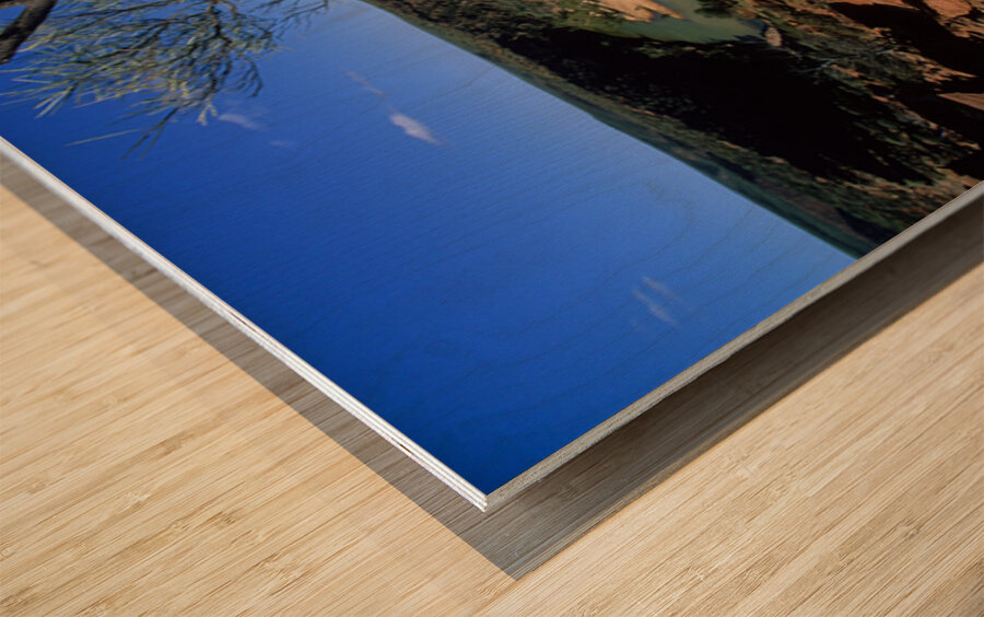 A gnarled tree overlooks a river in a vast canyon. Wood print