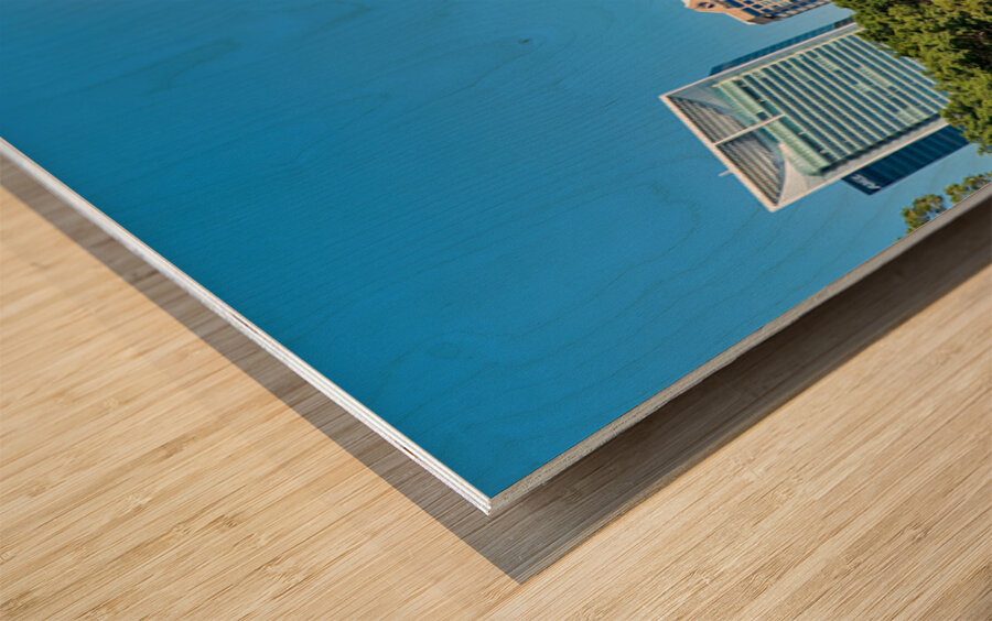 Sydney Tower Eye and surrounding buildings on a clear day. Wood print