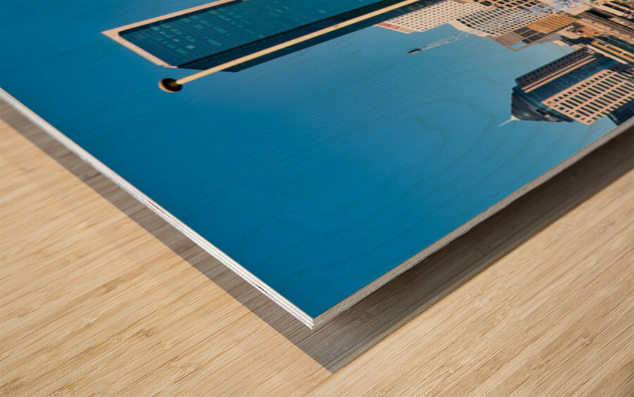 Ferry passengers enjoy city skyline view. Wood print