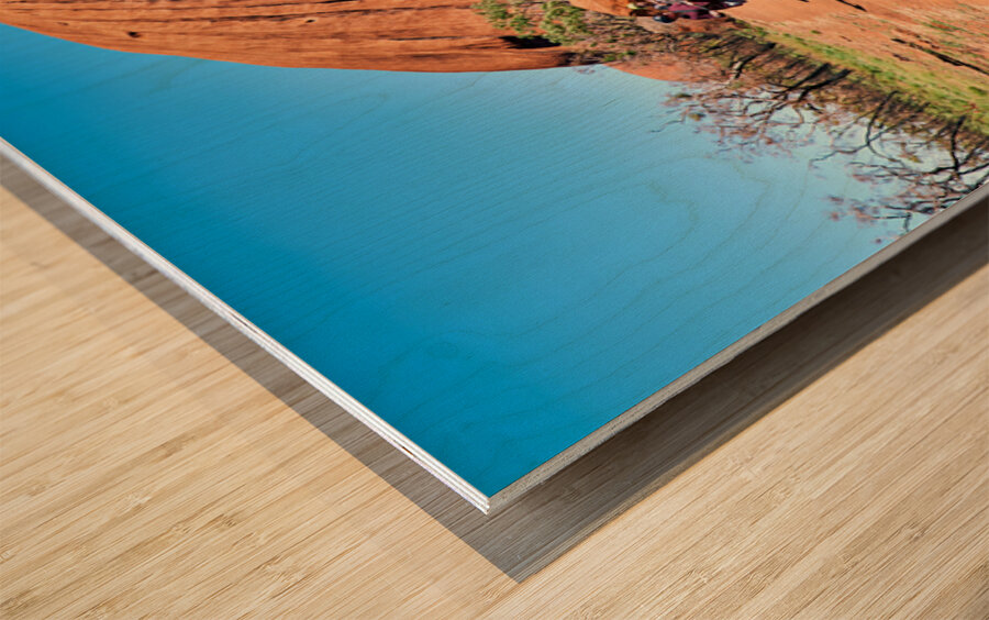 Tourists ride Segways near Uluru in Australia. Wood print