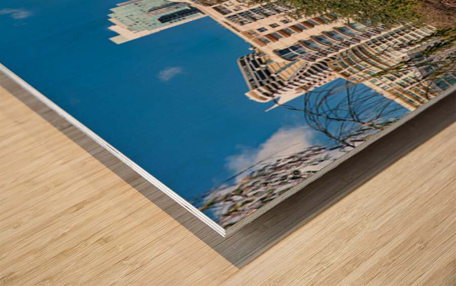 Chinese garden with pagodas and modern buildings Wood print