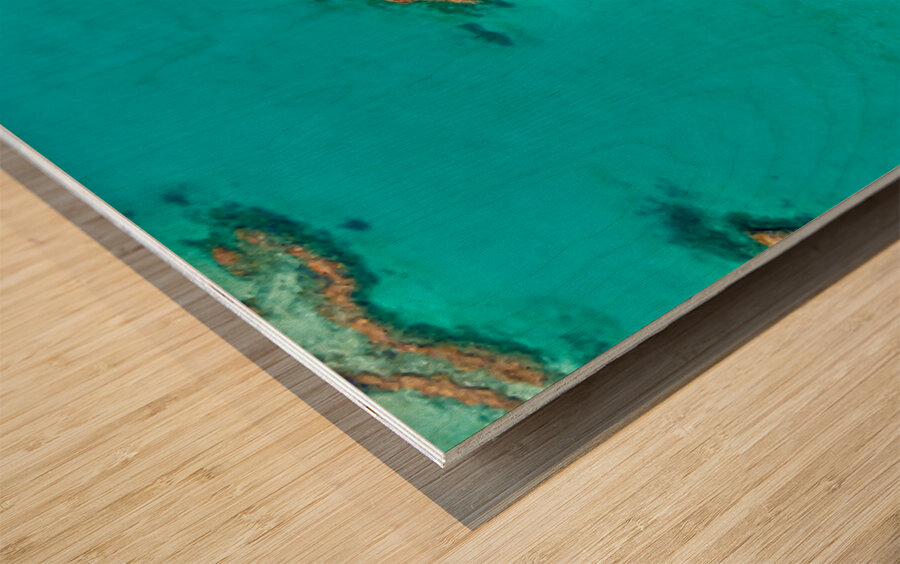 Heart Reef Great Barrier Reef Australia Wood print