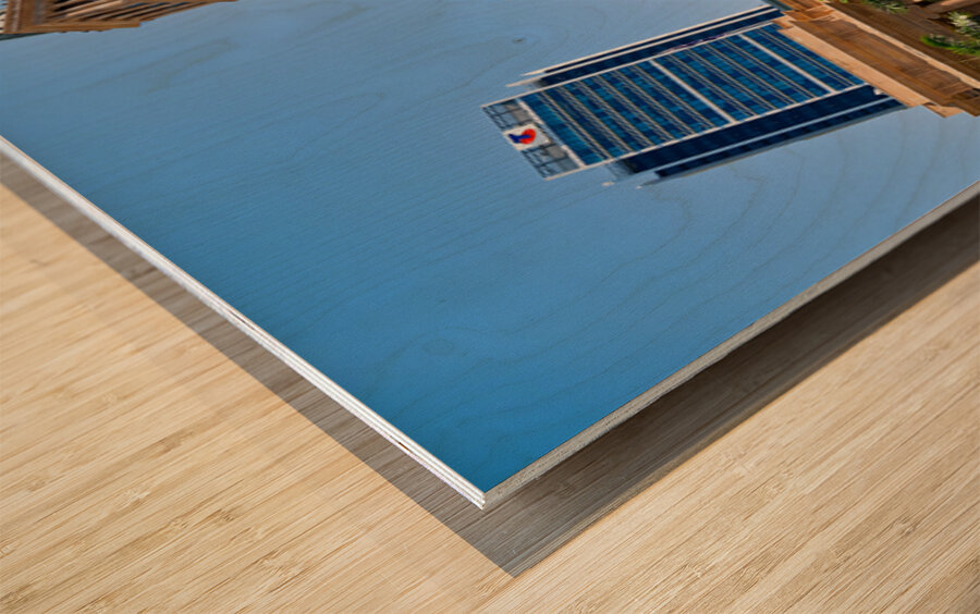 Brisbane City Hall with modern buildings and palm trees. Wood print