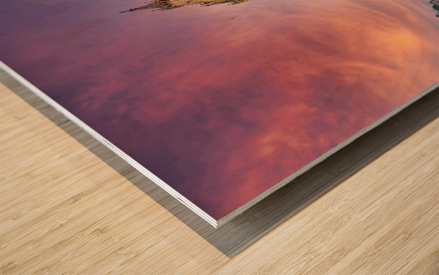 Majestic St. Stephens Cathedral in Vienna under a colorful sky. Wood print