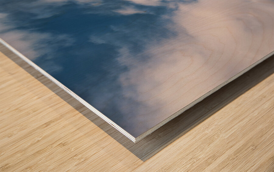 Schönbrunn Palace and gardens under a beautiful cloudy sky. Wood print