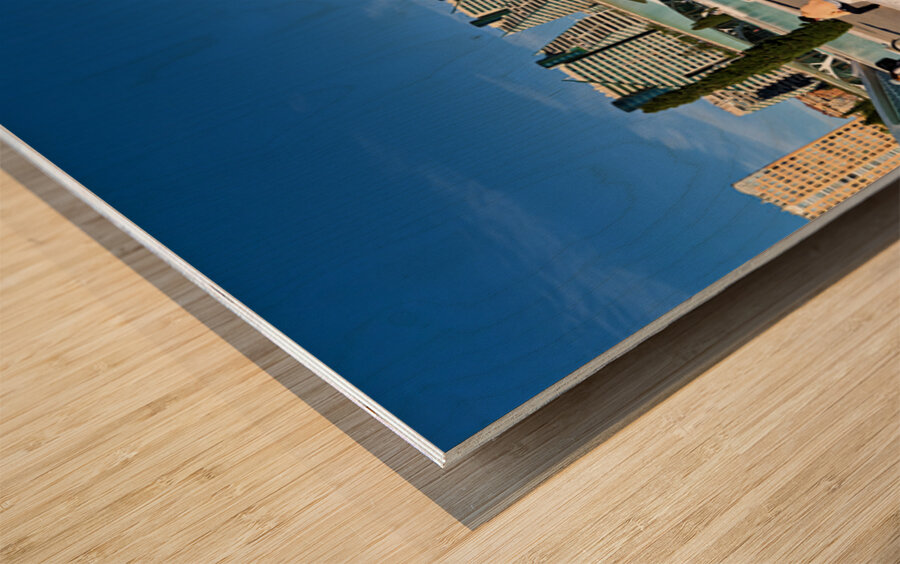 Valencia City of Arts and Sciences with Palau de les Arts Reina  Wood print