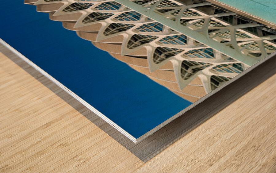 Visit Museu de les Sciences Principe Felipe in Valencia Spain Wood print