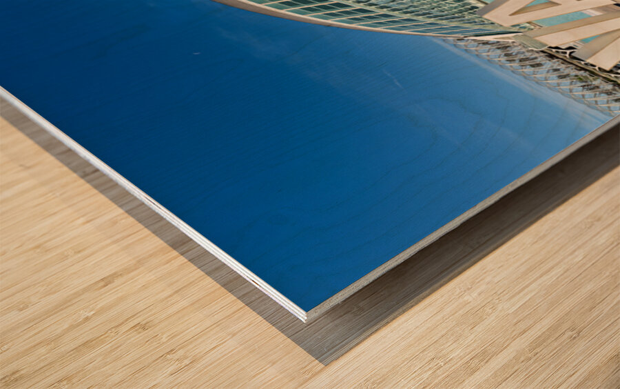 Visit Valencias City of Arts and Sciences near the Hemisfèric Wood print