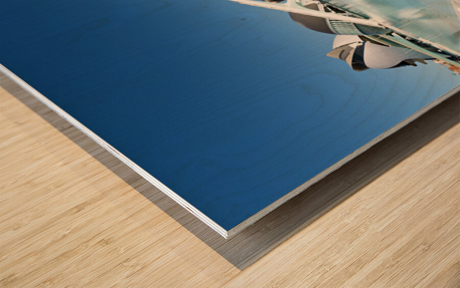 Visit to Museu de les Ciencies Principe Felipe in Valencia Spain Wood print