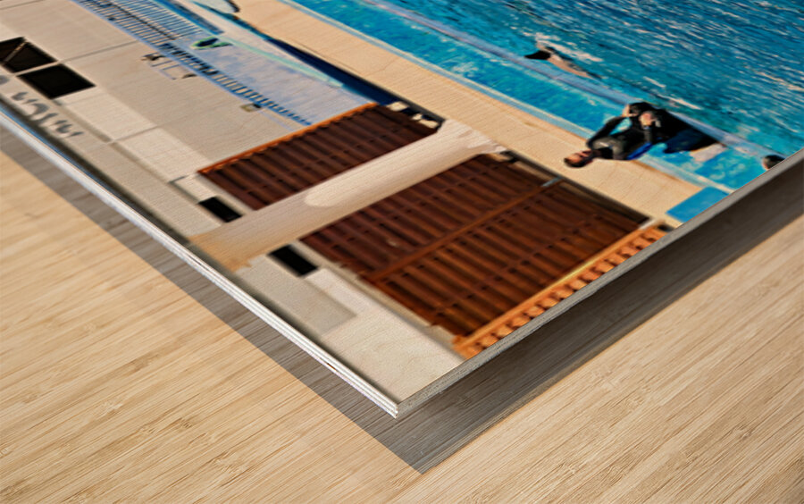 Dolphins perform tricks at Oceanografic in Valencia Spain Wood print