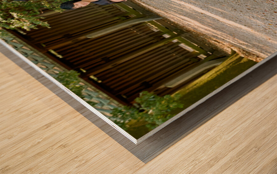 Traditional wedding ceremony at Meiji Jingu Shinto shrine in Tok Wood print