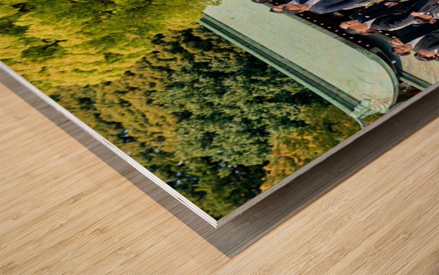 Traditional wedding ceremony at Meiji Jingu shrine in Tokyo Japa Wood print