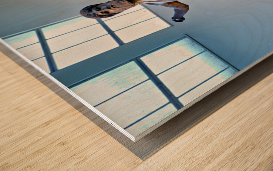 Greek statue in National Archaeological Museum in Athens Wood print