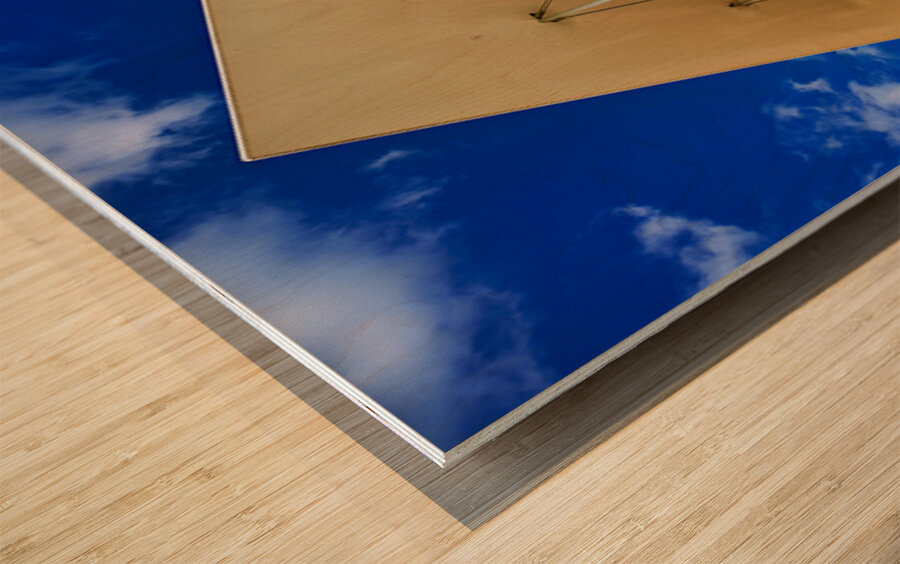 Stavros Niarchos Foundation Center showcases architecture in Ath Wood print