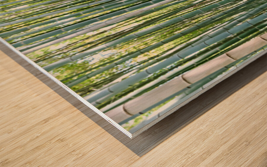 Buddhist monk takes pictures in Arashiyama Bamboo Grove in Japan Wood print