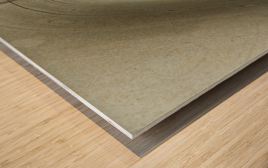 Hiroshima Peace Memorial Park view from the arch structure Wood print